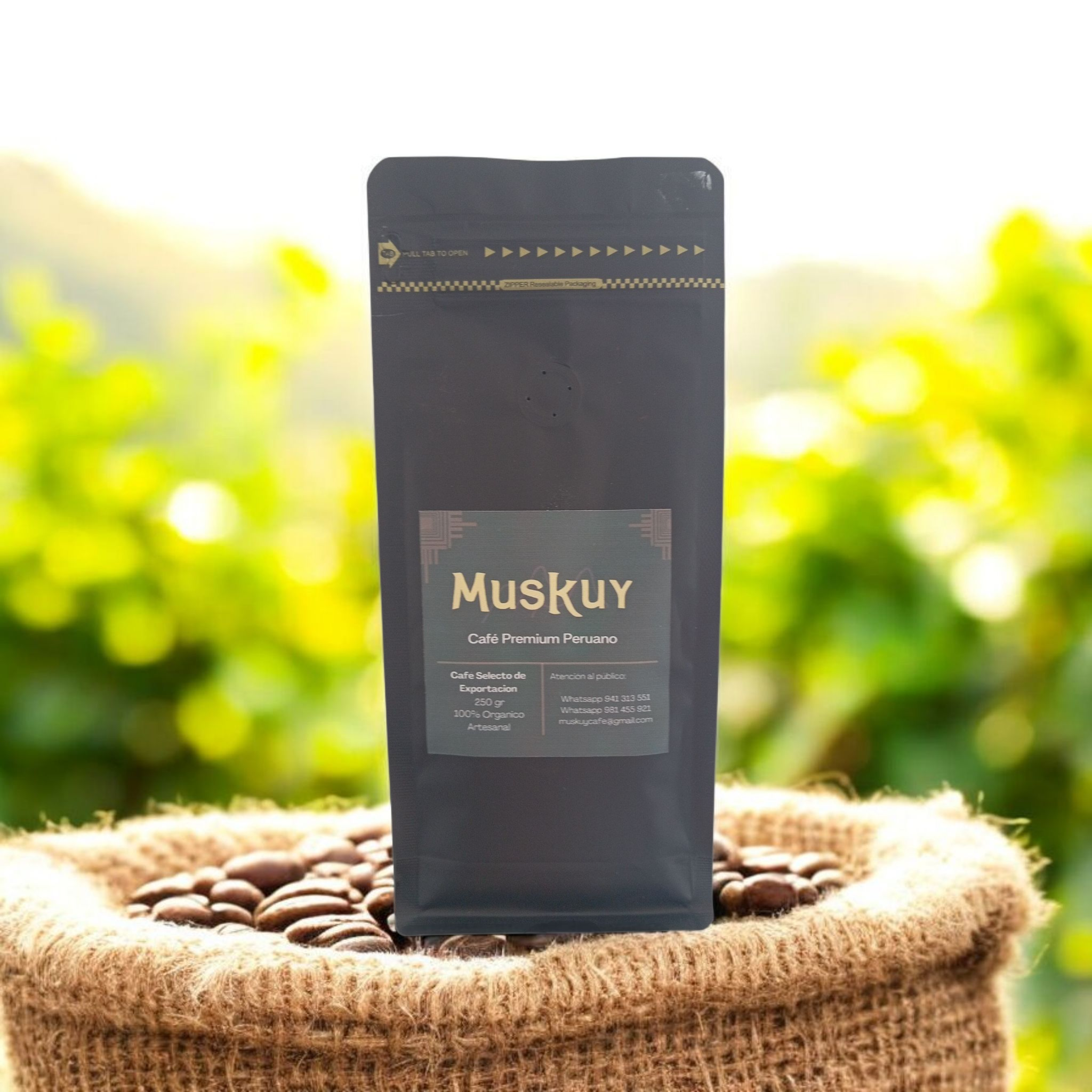 Café Selecto 250gr (grano)